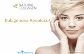 Natural collagen