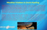 Weather matters in duck hunting