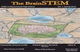 BrainSTEM: Volume 1, Spring 2015