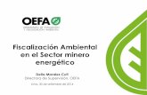 Fiscalizacion Ambiental en el Sector Minero Energético