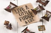 Big little fudge big presentation sales reps