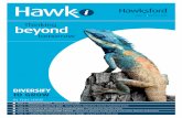 HAWKSFORD Hawk-i: Issue 11 - Summer 2015