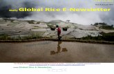 15 21 july,2015 daily global regional local rice e newsletter by riceplus magazine