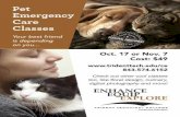 Pet Emergency Care print ad