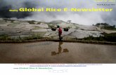 28th august,2015 daily global regional local rice e newsletter by riceplus magazine