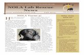 Fall 2015 NOLA Lab Rescue Newsletter