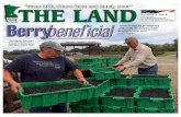THE LAND ~ Oct. 2, 2015 ~ Northern Edition