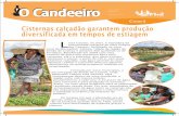 Cisterna-Calçadão garante produção diversificada em tempos de estiagem