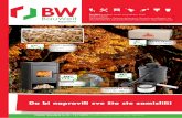 Bauwelt katalog  #10