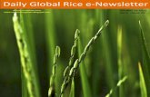 19 october ,2015 daily global regional local rice e newsletter by rice plus magazine
