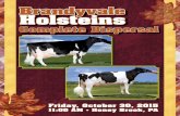 Brandyvale Holsteins Complete Dispersal