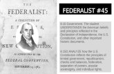 Federalist #45