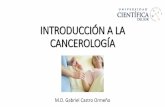 Introducción a la cancerología