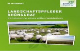BN Informiert: Landschaftspfleger Rhönschaf