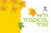 Hm Tropical Tree Brochure