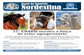 Jornal da Exposição Nordestina (2013)