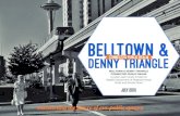 Belltown and Denny Triangle Study