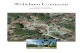 Wolfeboro Commons NH