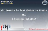Magento website design company bangalore