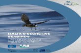 Malta’s Secretive Seabirds:  LIFE+ Malta Seabird Project Report