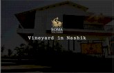 Good Winery Resorts near Nashik is Somavine