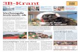 3B Krant week52