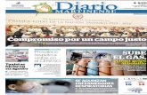 El Diario Martinense 4 de Enero de 2016