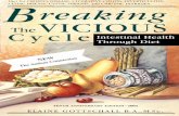 Breaking The Vicious Cycle PDF, eBook by Elaine Gottschall