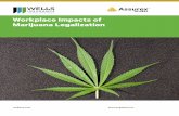 Wells/Assurex Workplace Impacts of Marijuana Legalization