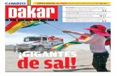 Especial Dakar 17-01-16