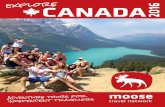 Moose Travel Network 2016