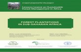 Forest plantation in sub saharan africa