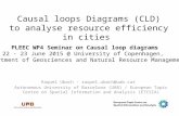 Causal loops to analyse resource efficiency in cities