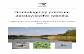 Ornitologický průzkum Zdislavického rybníka [HB] 2015