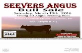 Seevers Angus / Fred Ranch 2016 Joint Bull Sale
