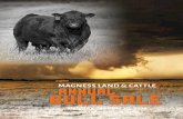 2016 MAGS Bull Sale