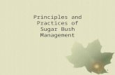 Sugar bush management module 1
