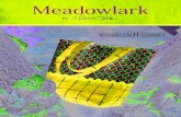 Meadowlark by Melanie Testa