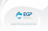 Manual de Identidade Visual - EGP | TCEPR