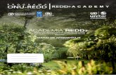 El Diario de Aprendizaje de la Academia REDD+