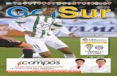Revista GolSur 15 Córdoba-Lugo 13 03 2016