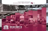 Wilson County JECDB 2015 Annual Report