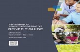 2016 Benefit Guide ESC Region 20 - Cigna Version 1