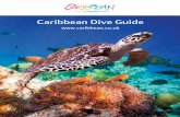 Caribbean Dive Guide