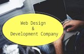 Custom Website Design & Development Company in Ahmedabad India