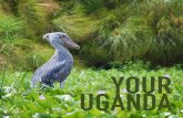 Uganda Tourism Press Pack 2016 UK