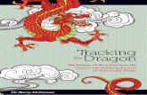 Tracking the Dragon in Tumut