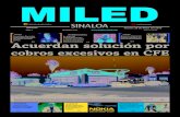 Miled Sinaloa 20-05-16