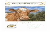 Guernsey Promotion Sale - Carolina Edition 2016