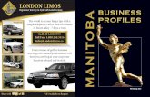 MB business profiles